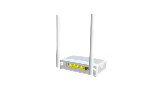 N300 Single-Band GPON